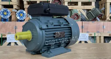 Động cơ điện 1 pha 2.2kW 3Hp