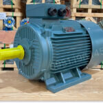 Động cơ điện 3 pha 37kW 50Hp