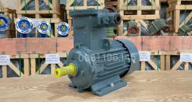 Động cơ phòng nổ 2.2kW 3Hp