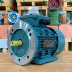 Động cơ điện 3 pha 0.25kW 0.34Hp chính hãng