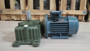 Mặt trước motor giảm tốc trục vít WPDO 40
