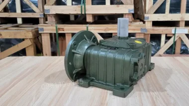 Mặt trước hộp giảm tốc trục vít WPDO 50