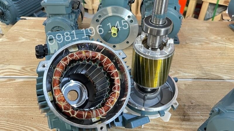 Cấu tạo động cơ điện có phanh
