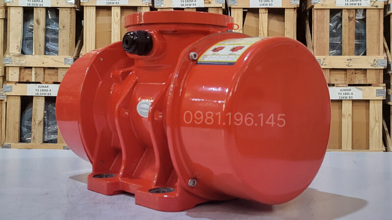 Thiết kế tổng quan của động cơ rung đầm rung 3kW