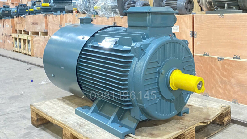 Hình dáng bên bên ngoài của motor biến tần 3 pha 110kW 150Hp
