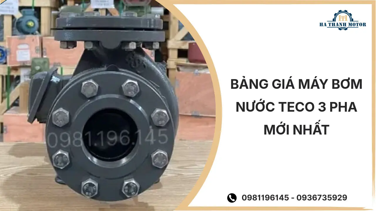 Bảng giá máy bơm nước Teco 3 pha mới nhất %currentmonthyear%
