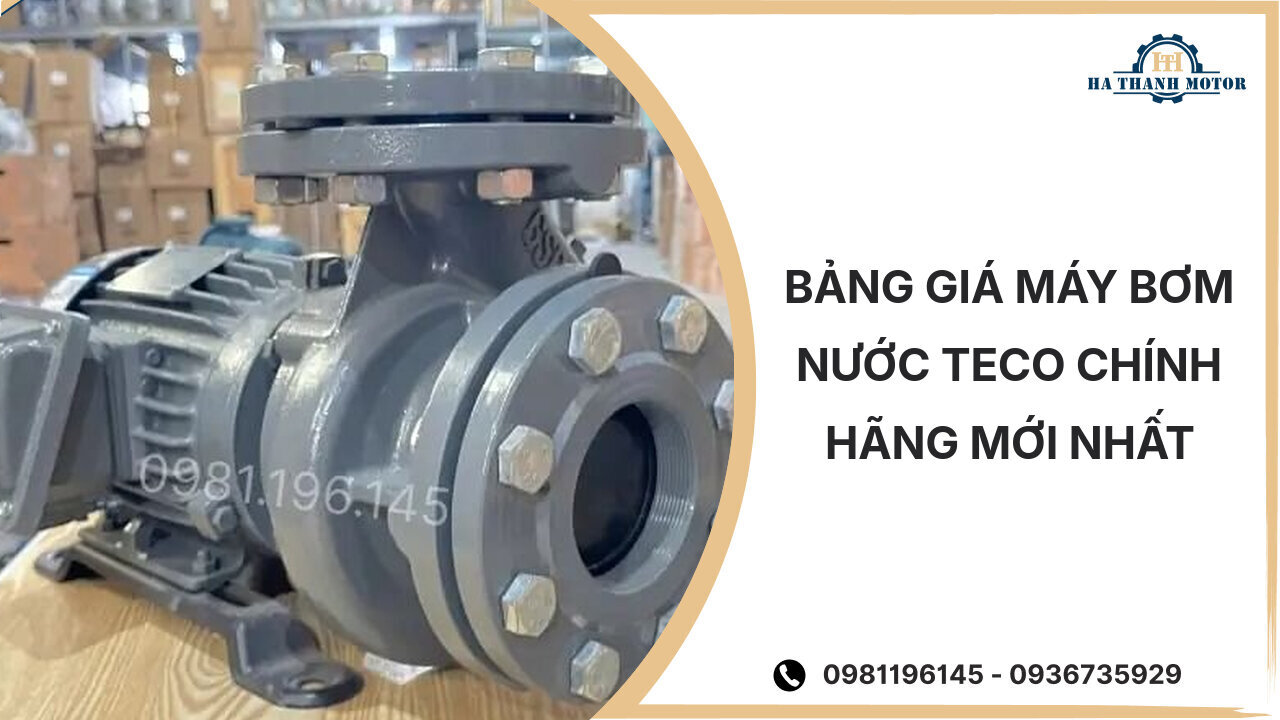 Bảng giá máy bơm nước Teco chính hãng mới nhất %currentmonthyear%