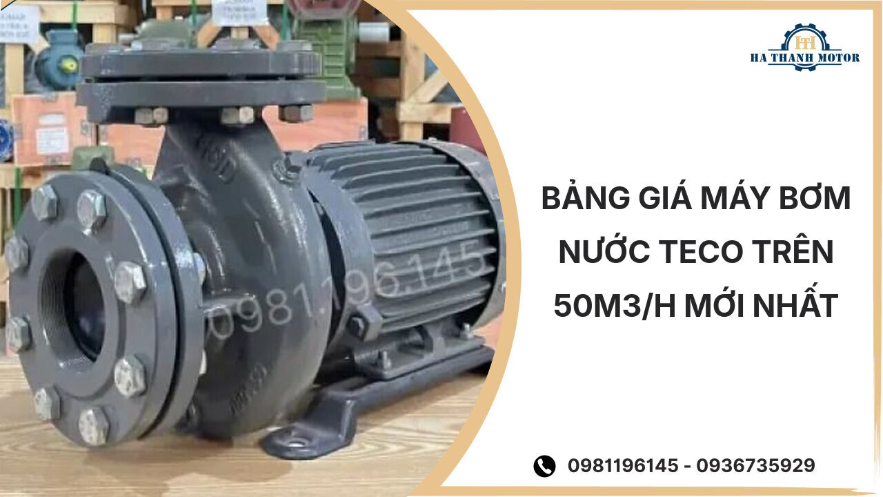 Bảng giá máy bơm nước Teco trên 50m3/h mới nhất %currentmonthyear%