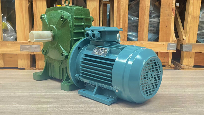 Tổng quan về motor giảm tốc WPDA 135 4kW 5.5Hp