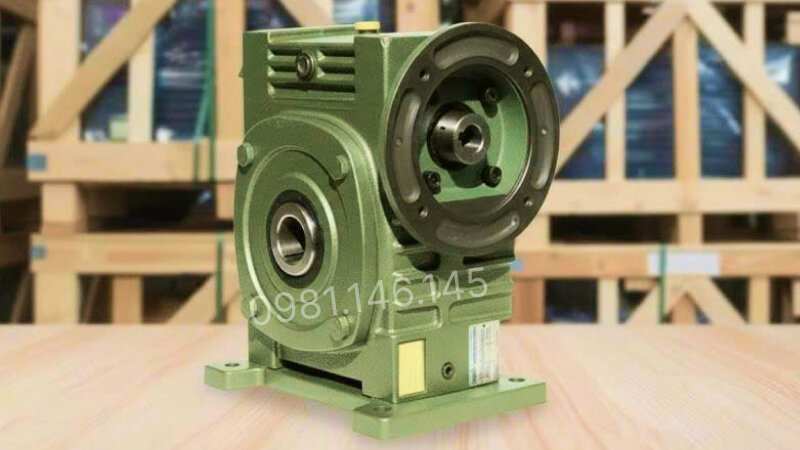 Thiết kế tổng quan hộp giảm tốc trục vít WPDKS 175