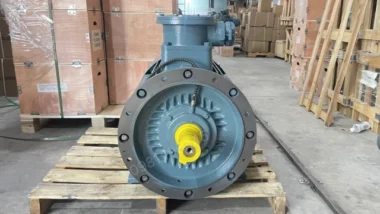 Góc nhìn đầu trục Động cơ phòng nổ 55kW 75Hp