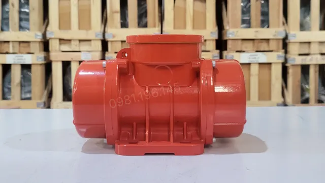 Góc nhìn mặt sau Động cơ rung đầm rung 0.3kW