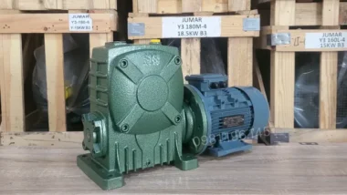 Góc xéo motor giảm tốc trục vít WPDA