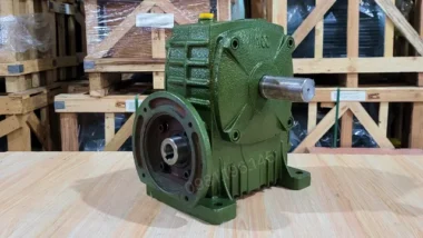 Hộp giảm tốc trục vít WPDA 100 chính hãng