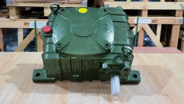 Hộp giảm tốc trục vít WPX 100 trực diện