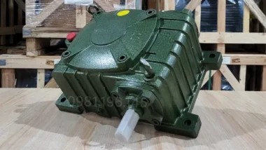 Hộp giảm tốc trục vít WPX 100 uy tín tại Thành Thái Motor