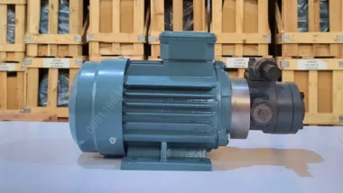 Góc nhìn mặt bên đối diện Máy bơm dầu thủy lực 0.37kW 0.5Hp với kết cấu cân đối