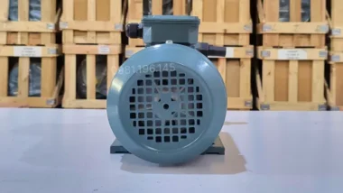 Góc nhìn mặt sau Máy bơm dầu thủy lực 0.75kW 1Hp thể hiện rõ quạt làm mát