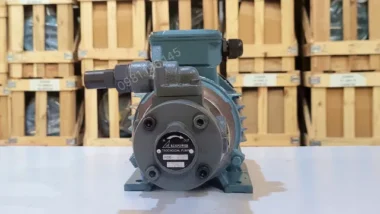 Góc nhìn mặt sau Máy bơm dầu thủy lực 0.75kW 1Hp thể hiện rõ quạt làm mát