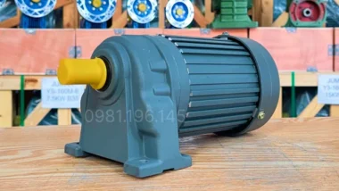 Motor giảm tốc 3 pha 0.2kW 0.25Hp chính hãng