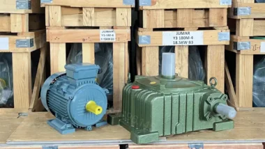 Motor giảm tốc WPO 135 4kW 5.5Hp chính hãng