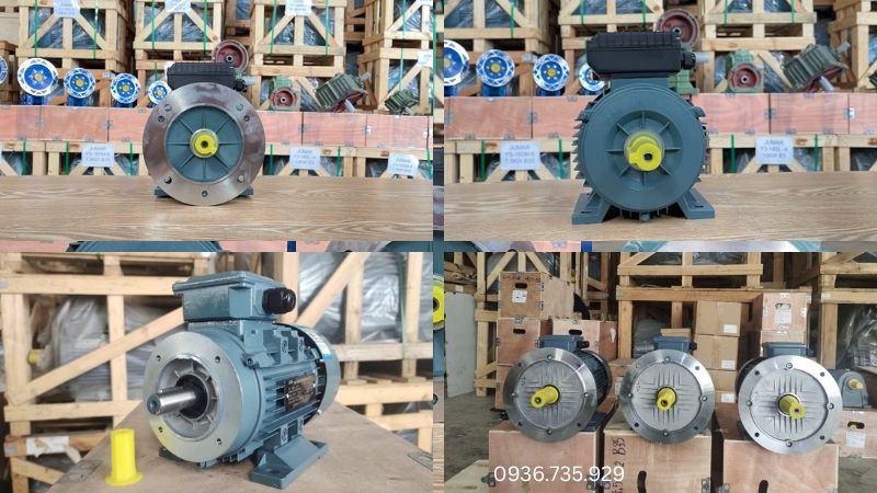 Các kiểu lắp đặt B3, B5, B14 và B35 phổ biến