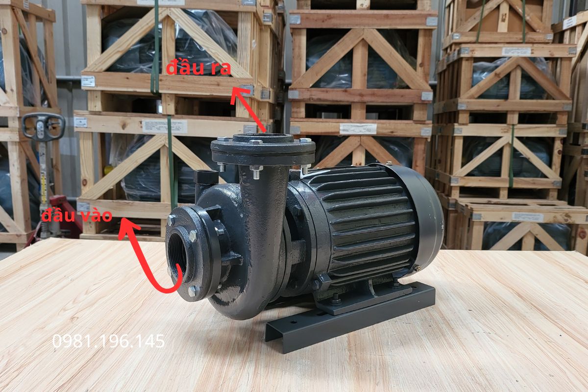 Đầu vào đưa nước vào máy, đầu ra dẫn nước sau khi bơm đến hệ thống sử dụng