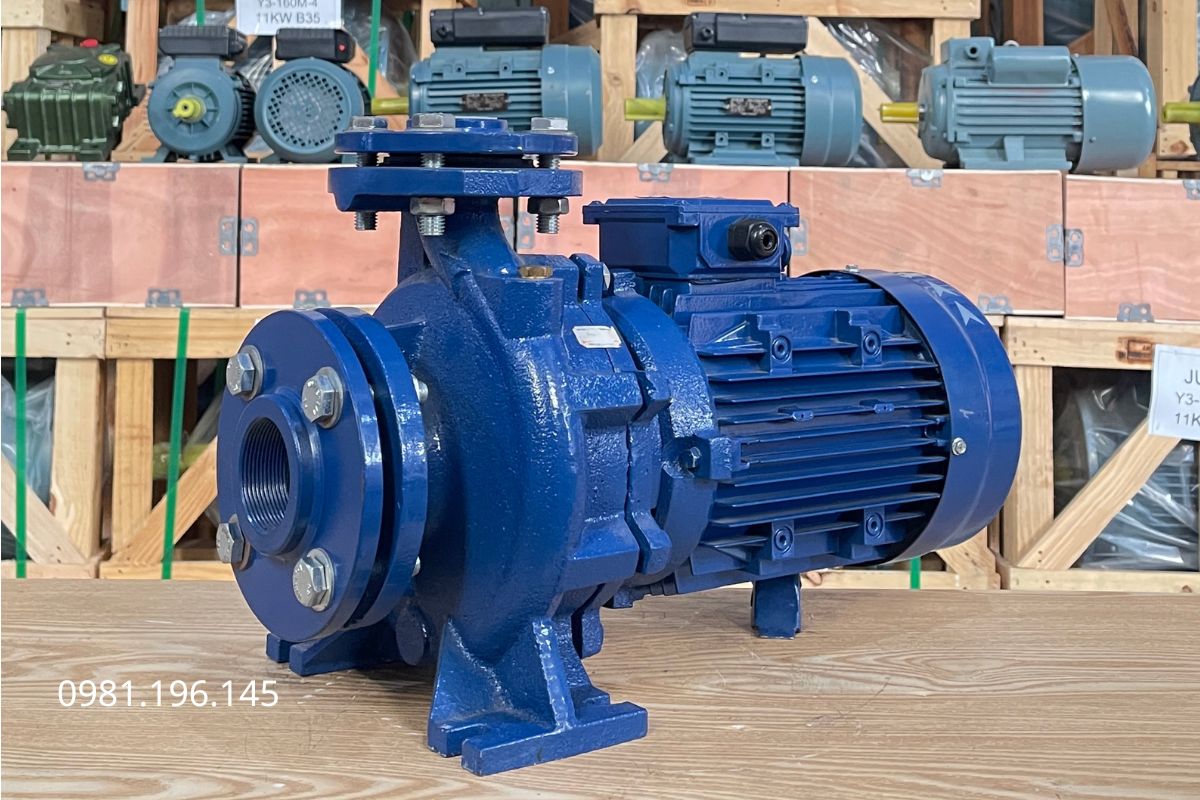 Máy bơm đẩy cao 10m được dùng để cấp nước, tưới cây, tuần hoàn và xịt rửa