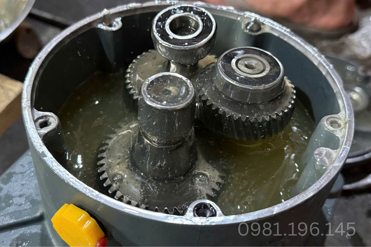 Định kỳ thay dầu và bơm mỡ cho động cơ giảm tốc