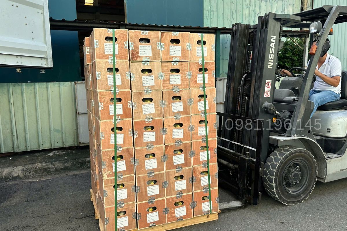 Hoạt động nhập kho động cơ giảm tốc Hà Thanh Motor