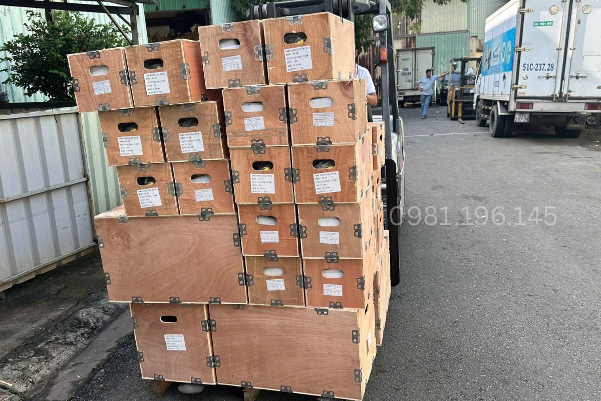 Sản phẩm motor giảm tốc tại kho Hà Thanh Motor